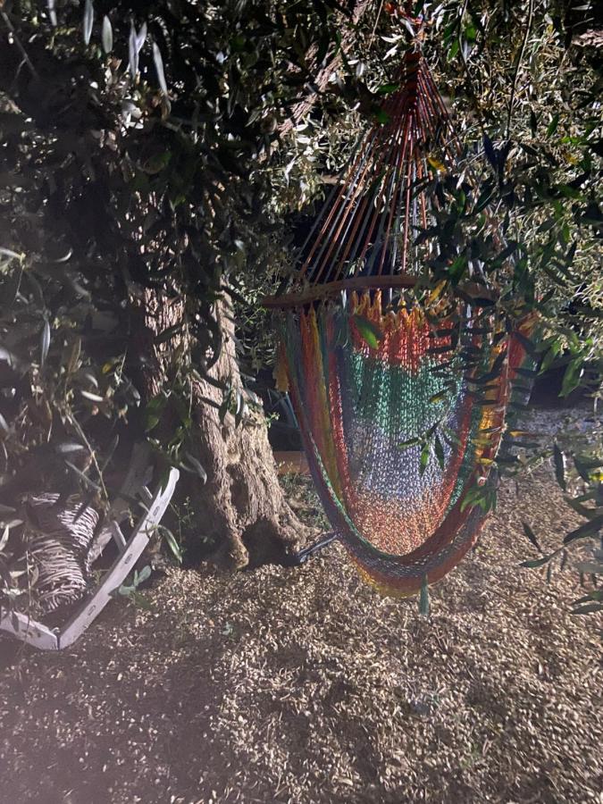 La Casa Di Gioggio Leilighet Ioppolo Giancaxio Eksteriør bilde