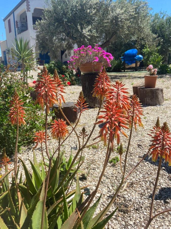 La Casa Di Gioggio Leilighet Ioppolo Giancaxio Eksteriør bilde