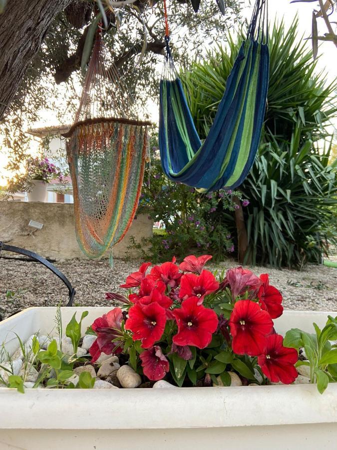 La Casa Di Gioggio Leilighet Ioppolo Giancaxio Eksteriør bilde